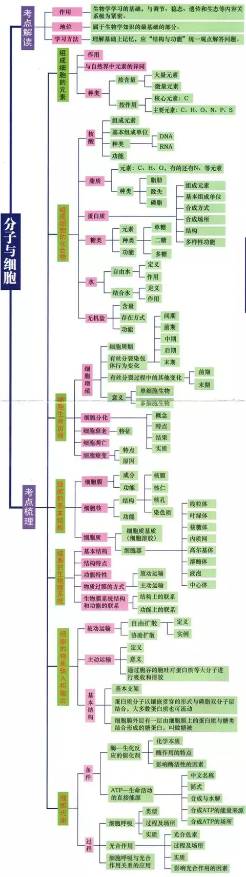 高中9科思维导图/高频考点导图汇总