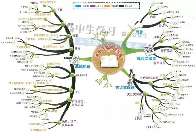 高中9科思维导图/高频考点导图汇总