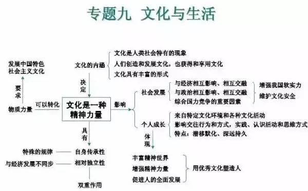 高中9科思维导图/高频考点导图汇总