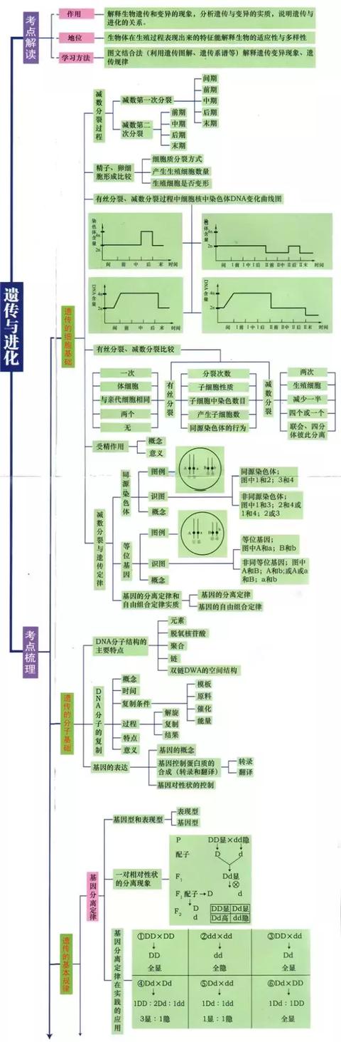 高中9科思维导图/高频考点导图汇总