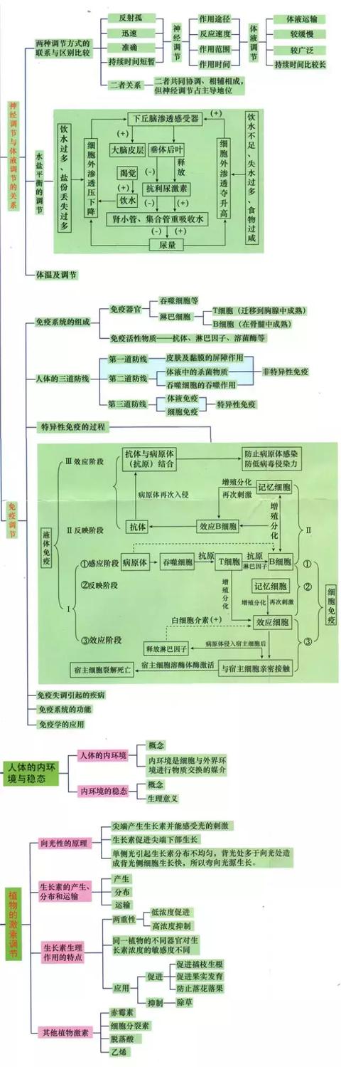 高中9科思维导图/高频考点导图汇总