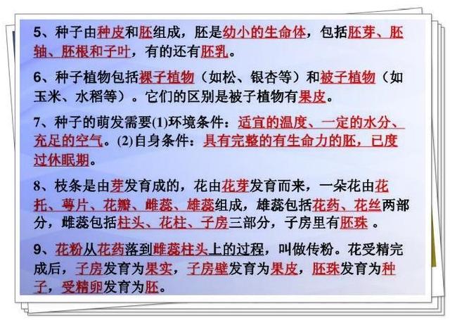 博士老爸真厉害！竟用一页纸囊括四册生物书，难怪儿子轻松满分！