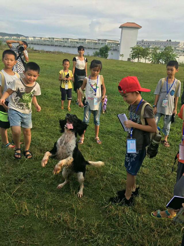 名师教你如何写好小动物的作文，收藏起来吧