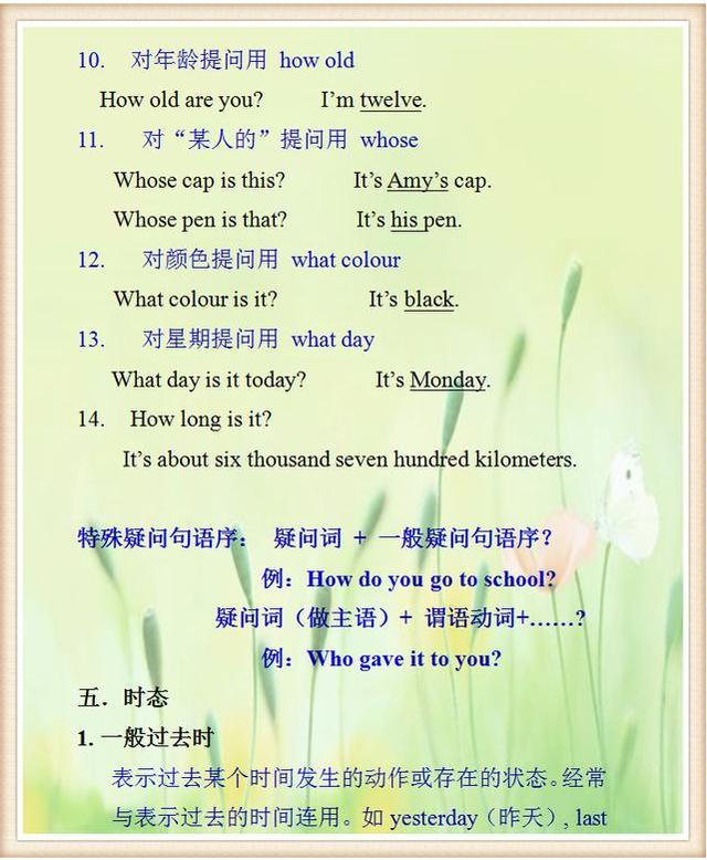 小学英语语法大全