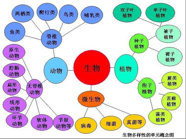 12张知识结构图，帮你扫清初中生物全部知识点，好简单！