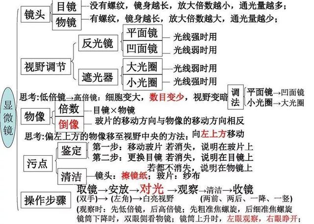 12张知识结构图，帮你扫清初中生物全部知识点，好简单！