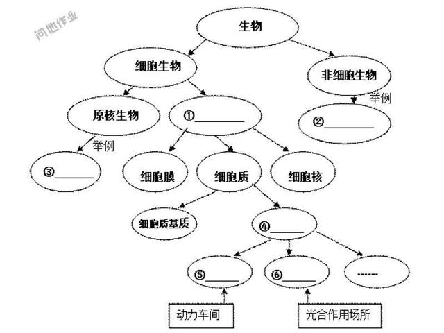 12张知识结构图，帮你扫清初中生物全部知识点，好简单！