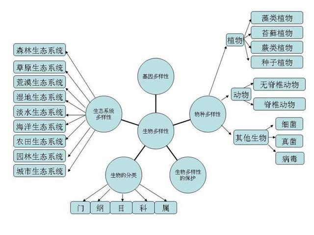 12张知识结构图，帮你扫清初中生物全部知识点，好简单！