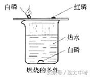 中考化学知识点化学与能源总结含考点和中考真题