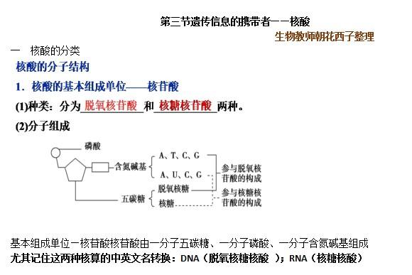 高考生物难点易错点——核酸相关考点总结