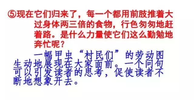 媛媛妈教语文：六年级语文上册第一单元知识点复习