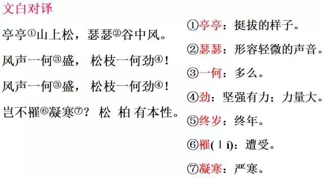 初二语文丨第3单元基础知识、文言文、课外古诗文最全汇总！