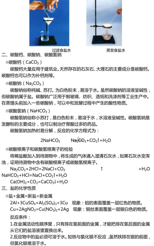 九年级化学盐中考总复习资料