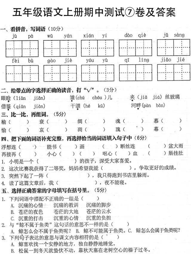 小学1-6年级语文名校期中密卷