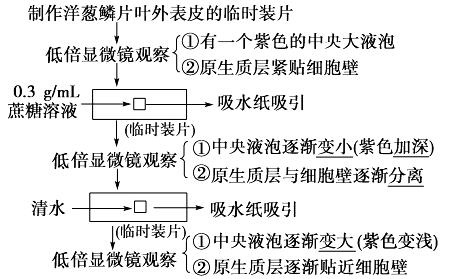 高中生物难点讲析：植物细胞质壁分离与复原易错点及其应用