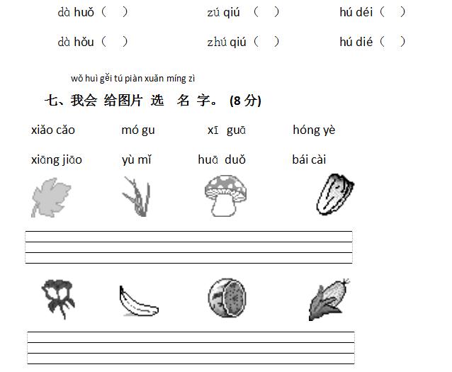 2017「新版」语文，小学期中测试卷