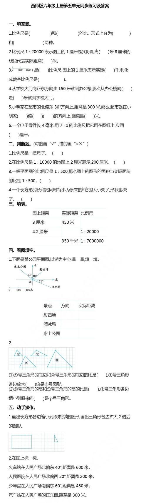 1-6年级数学第五单元测试附答案丨西师版