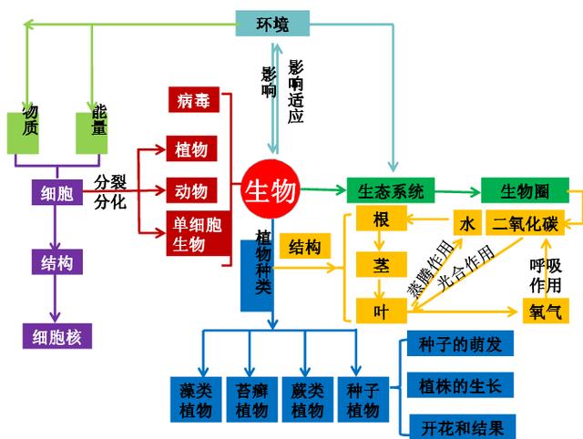 七年级生物上全册知识梳理、思维导图让你轻松记忆！高清推荐