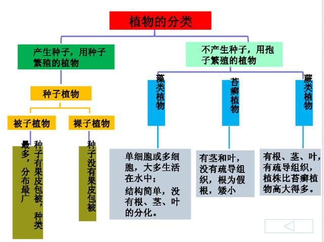 七年级生物上全册知识梳理、思维导图让你轻松记忆！高清推荐