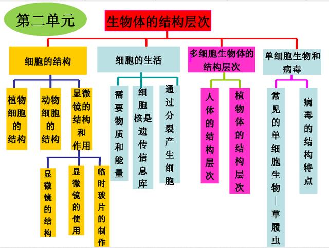 七年级生物上全册知识梳理、思维导图让你轻松记忆！高清推荐