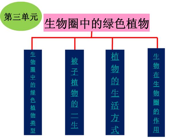 七年级生物上全册知识梳理、思维导图让你轻松记忆！高清推荐