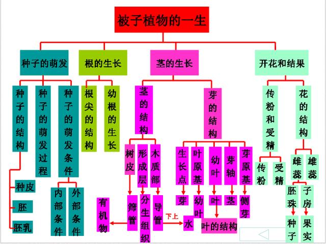 七年级生物上全册知识梳理、思维导图让你轻松记忆！高清推荐