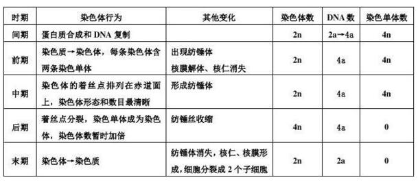 史上最详细的高中生物大题重点知识汇总，等你来拿！