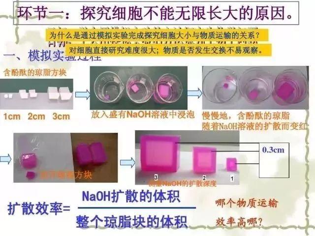 高中生物16个必考实验原理全解析，一份资料就够了！快收！