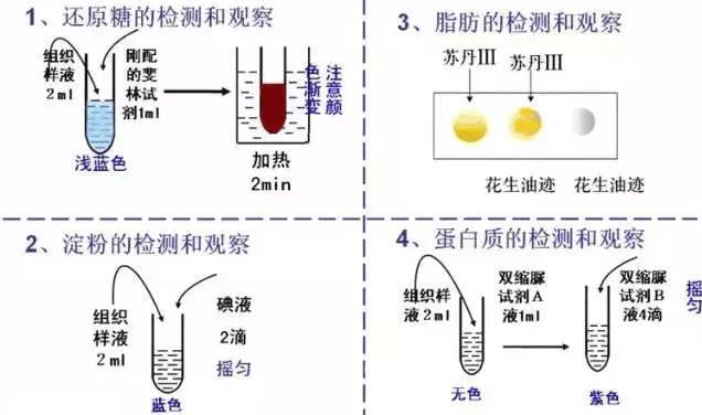 高中生物16个必考实验原理全解析，一份资料就够了！快收！