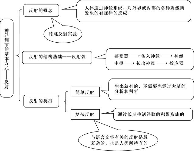 2018年中考生物总复习神经调节的基本方式精讲