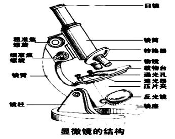 2018年初中学业水平测试生物中考最常见考点汇总