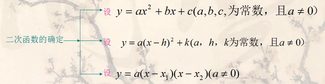 中考必考题型之：二次函数表达式的确定，学会至少能多拿5分！