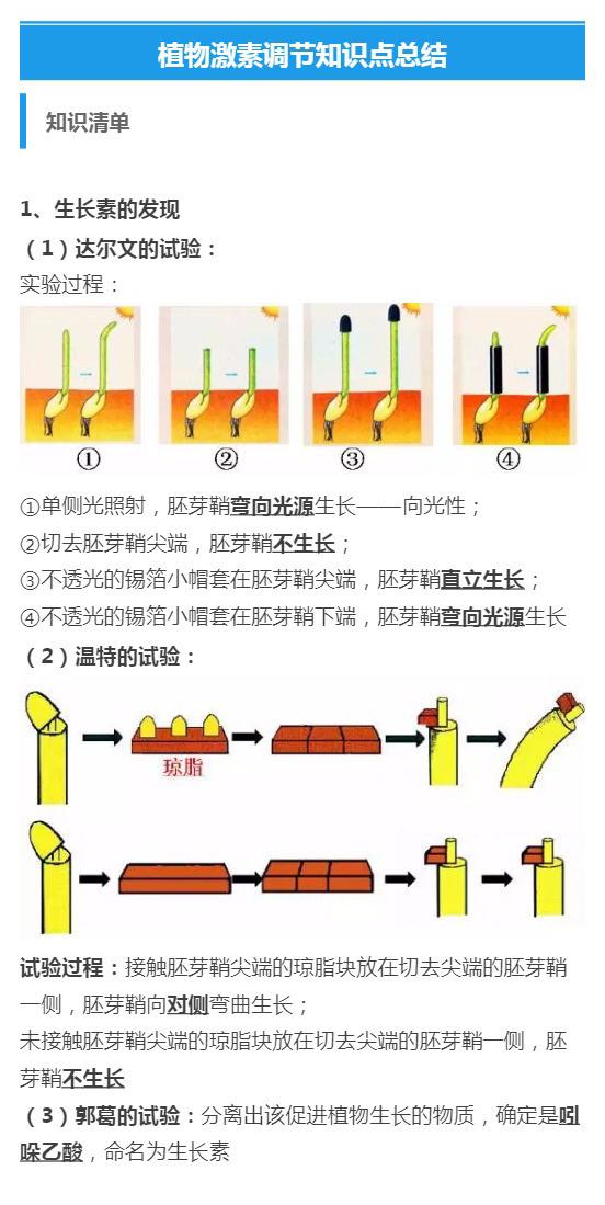 高中生物知识总结！植物激素调节知识汇总