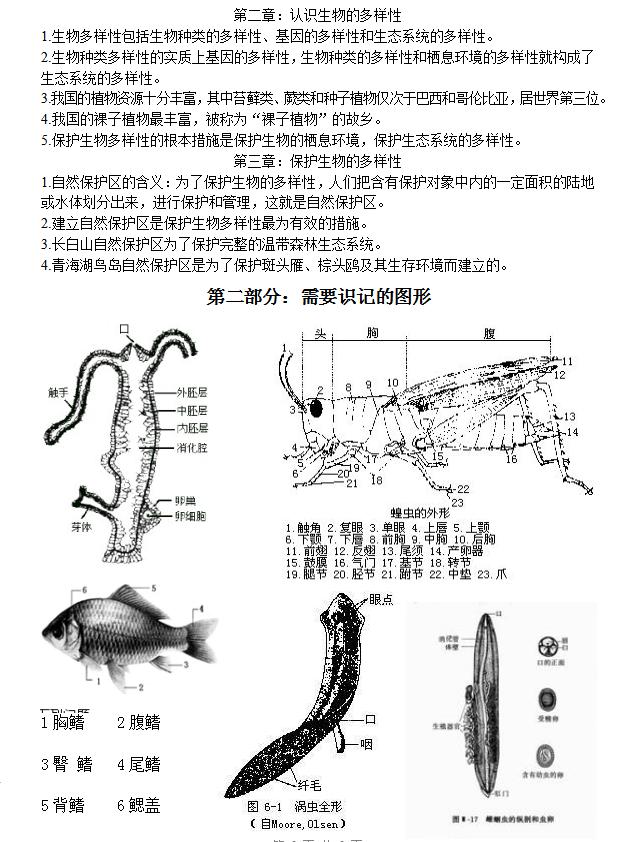 八年级生物复习攻略