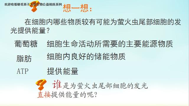 高一生物呼吸与光合衔接课：能量通货ATP最全考点