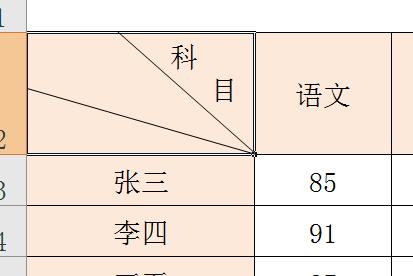 Excel充电宝：Excel中多斜表头的制作