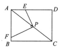 九年级数学，换个角度看问题，四点共圆你掌握了吗？