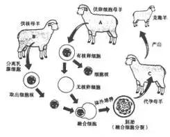 生物考试识图题全汇总, 让孩子背完, 轻松提高20分！