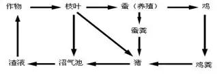 生物考试识图题全汇总, 让孩子背完, 轻松提高20分！