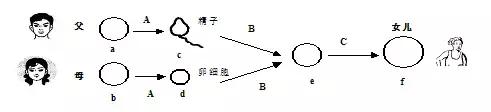 生物考试识图题全汇总, 让孩子背完, 轻松提高20分！