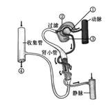 生物考试识图题全汇总, 让孩子背完, 轻松提高20分！