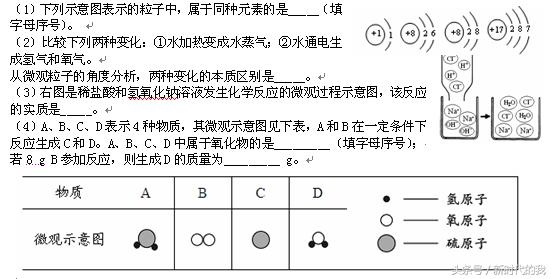 初中化学复习专题微观粒子