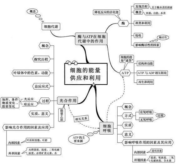 20张图包涵高中生物全部知识，适用2018年高考