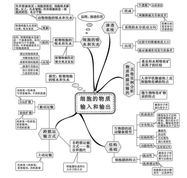 20张图包涵高中生物全部知识，适用2018年高考