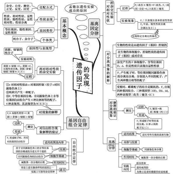 20张图包涵高中生物全部知识，适用2018年高考