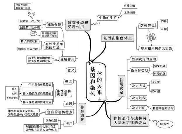 20张图包涵高中生物全部知识，适用2018年高考