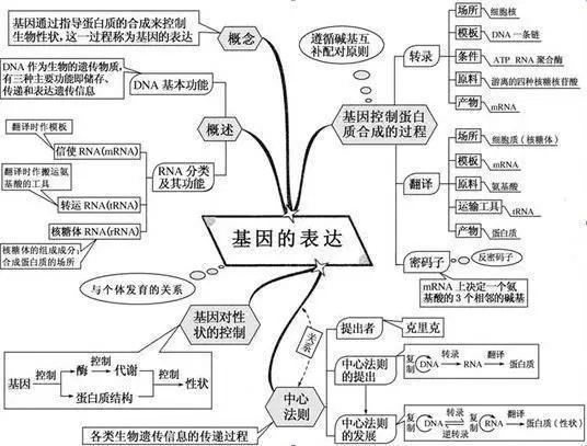 20张图包涵高中生物全部知识，适用2018年高考