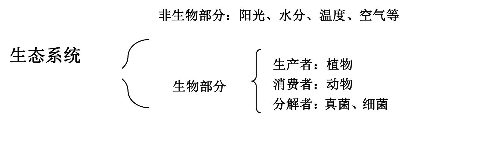 人教版初中生物中考复习提纲（填空版）