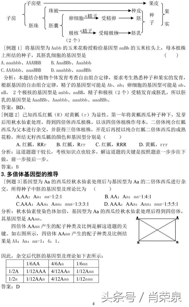 【高中生物】高一下：遗传规律题例题及其解题技巧！