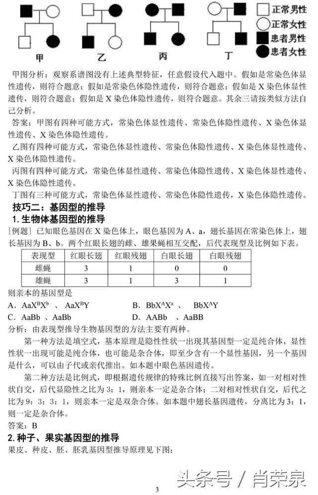 【高中生物】高一下：遗传规律题例题及其解题技巧！